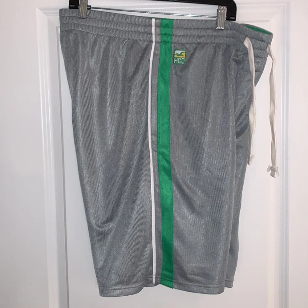 Rare Hollister Athletics Mens Large Gym Athletic Shorts Used in great condition - Picture 3 of 5